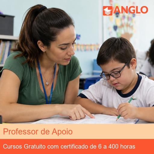 Professor de Apoio